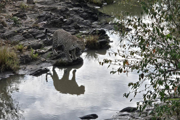 Diani/Mombasa: 2 Days to Tsavo East & Tsavo West with meals