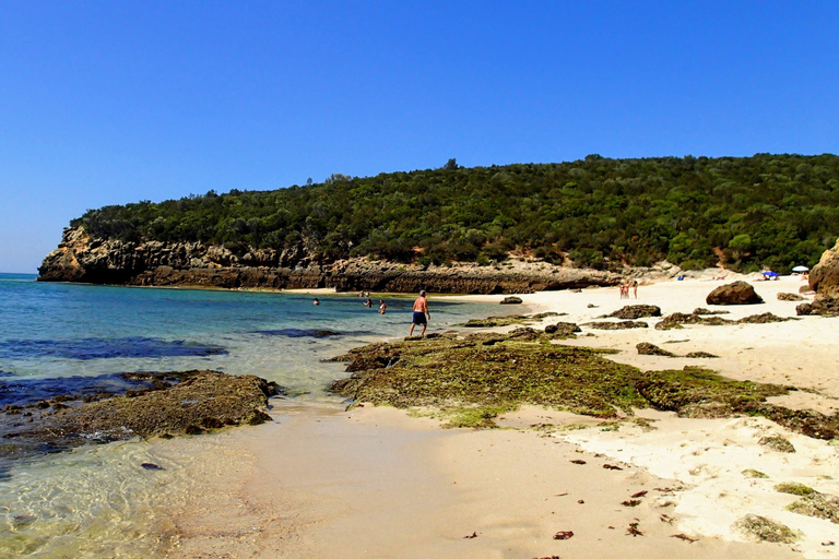 Lisbonne: visite de la ville du sud et visite culturelle avec vinDemi-journée au parc naturel d'Arrábida avec dégustation de vin