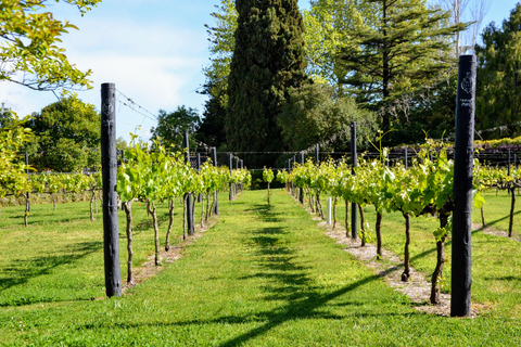 Lisbonne: visite de la ville du sud et visite culturelle avec vinJournée complète au parc naturel d'Arrábida avec dégustation de vin