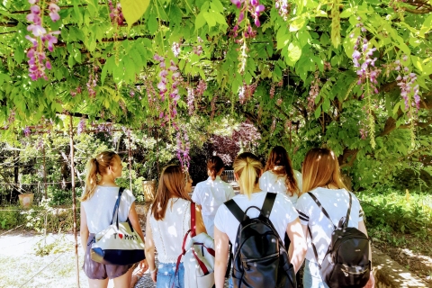 Lisbon: South City Sights and Cultural Tour with Wine Half Day Arrábida Natural Park with Wine Tasting