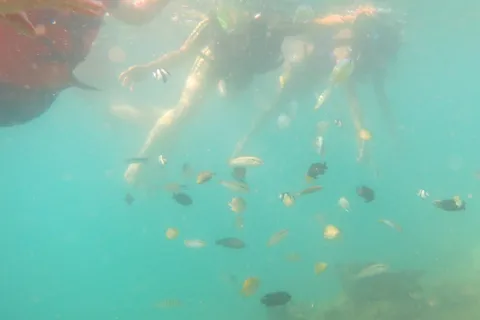 From Lombok: Southern Gilis Private Snorkelling Day Trip