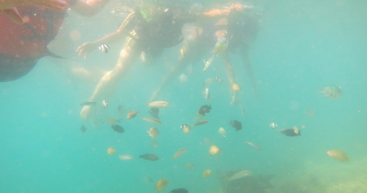 From Lombok Southern Gilis Private Snorkelling Day Trip GetYourGuide