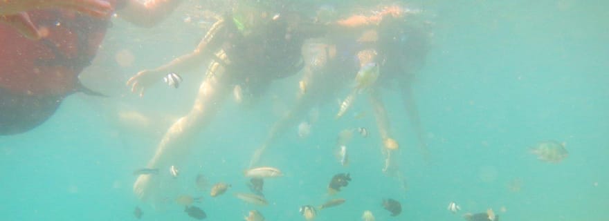 Depuis Lombok : Excursion privée de plongée en apnée dans les Gilis du Sud