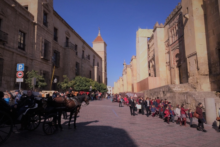 Depuis Séville : visite d'une journée de Cordoue et CarmonaVisite privée