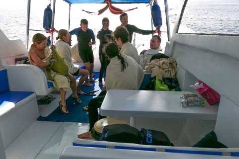 Marsa Alam: Prywatna wycieczka z rurką z Dugongiem i żółwiami