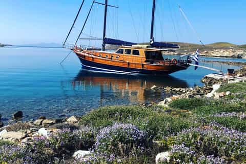 Mykonos: South Coast Beach Hopping Boat Tour with BBQ Lunch