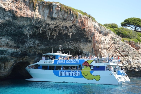 Mallorca: Glass-Bottom Catamaran Along the East Coast From Porto Cristo with Glassbottom Moonfish