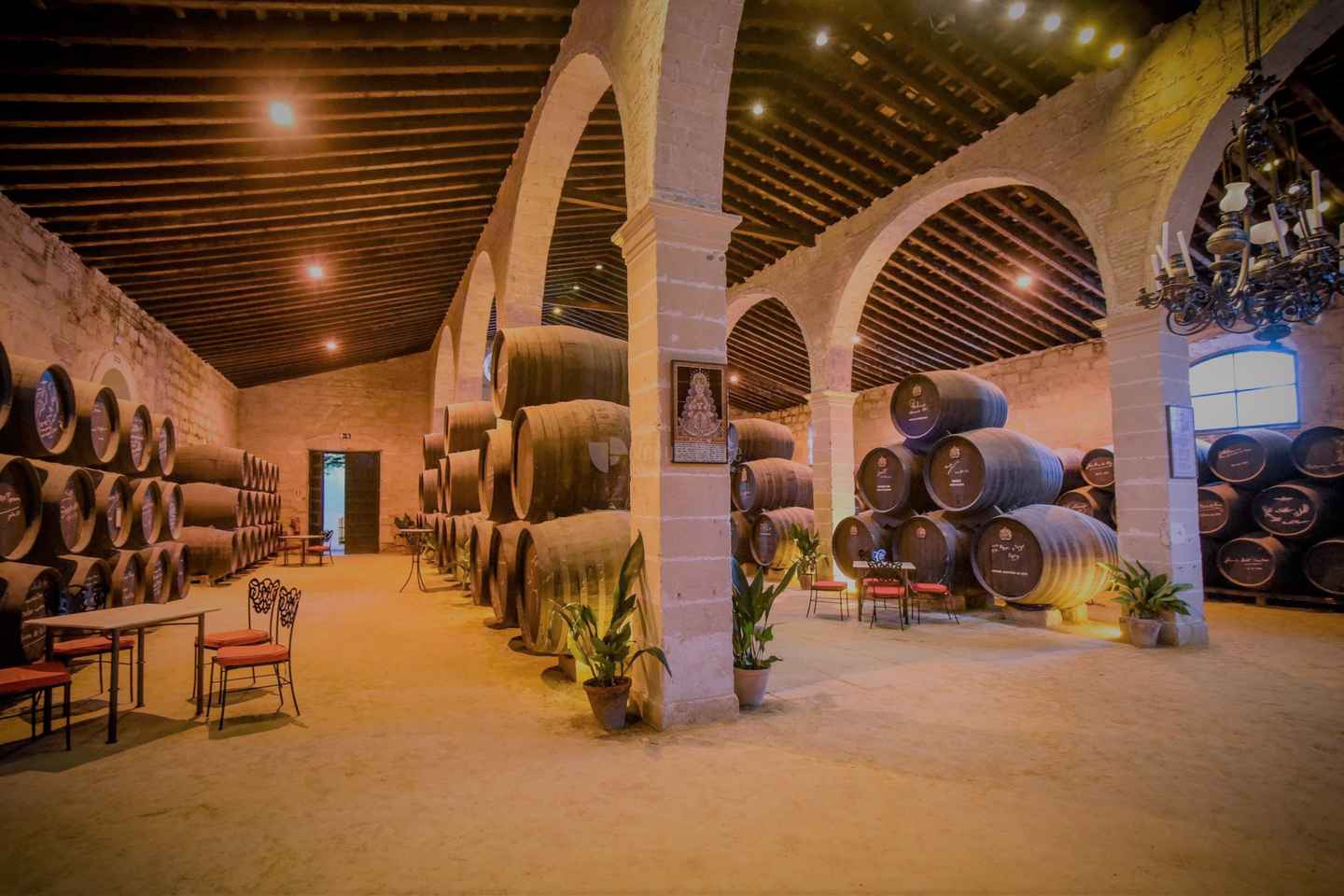 From Seville: Cadiz and Jerez de la Frontera Day Trip