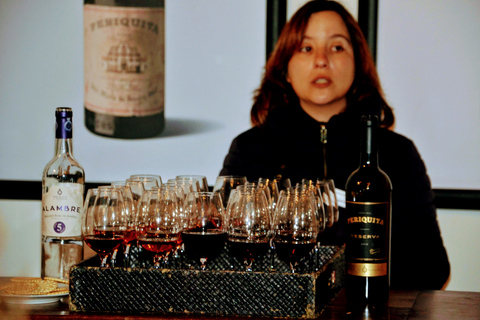 Lisbon: Southern Sights and Wine Private Tour Lisbon: Southern Sights and Wine Private Tour - Half Day