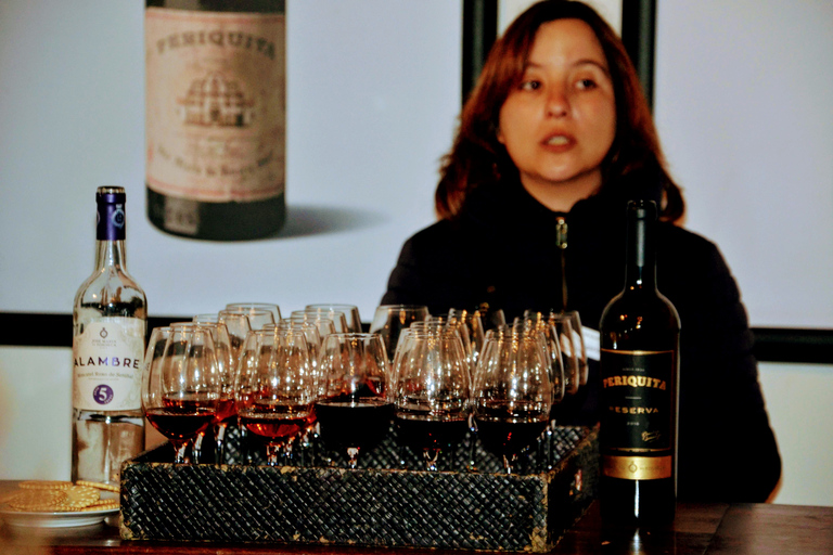 Lisbon: Southern Sights and Wine Private TourLisbon: Southern Sights and Wine Private Tour - Full Day