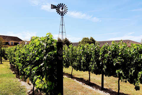 Lisboa: recorrido privado por el sur y vinoLisboa: recorrido privado por el sur y vino - Día completo