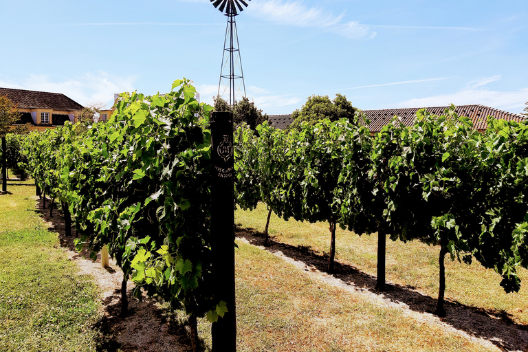 Lisbonne: visite privée du sud et du vinLisbonne: visite privée des sites et du vin du Sud - Journée complète