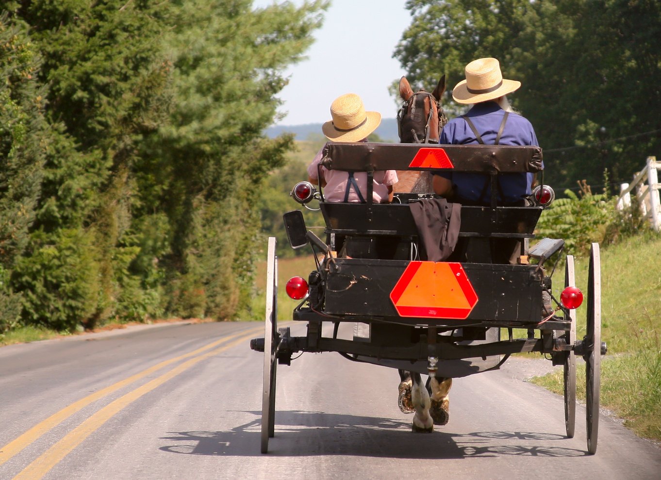 Lancaster County: Amish-landbrug, museumstur, gårdbesøg