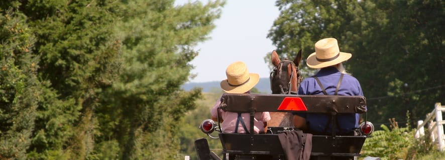 Lancaster County: Amish Farmlands, Museum Tour, Farm Visit