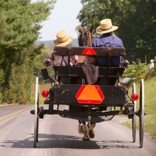 Lancaster County: Amish Farmlands, Museum Tour, Farm Visit