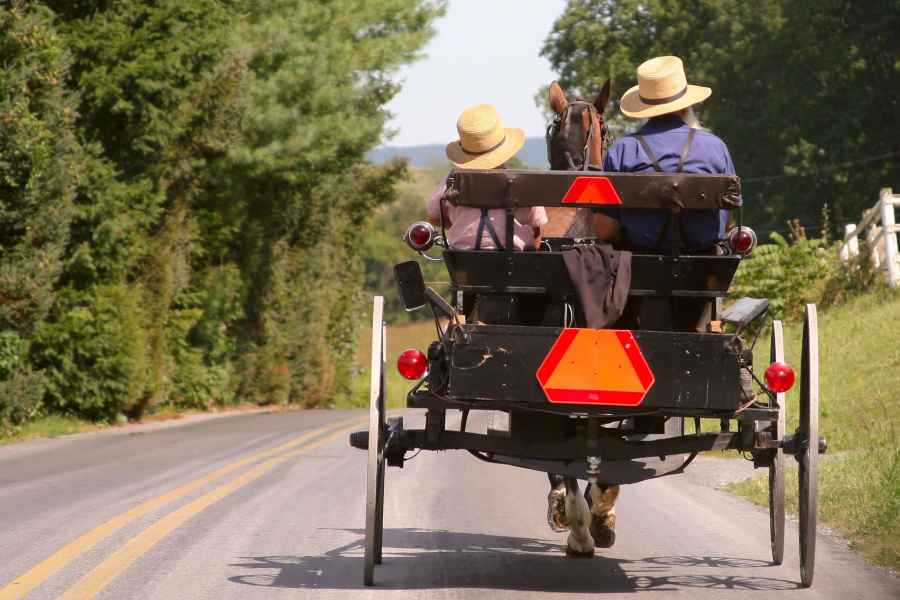 Lancaster County: Amish Farmlands, Museumstour, Farmbesuch. Foto: GetYourGuide