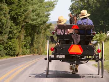 Lancaster County: Amish Farmlands, Museumsbesuch, Farmbesuch Lancaster County: Amish Farmlands, Museumsbesuch, Farmbesuch
