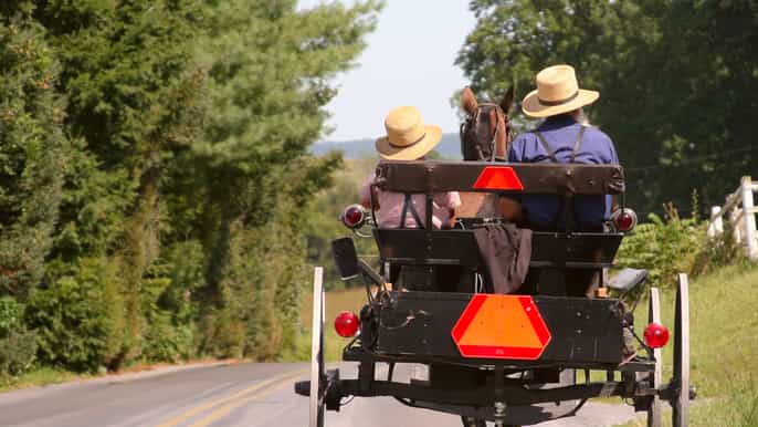 contea di lancaster amish farmlands museum tour farm visit