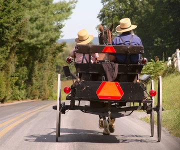 Lancaster County: Amish Farmlands, Museum Tour, Farm Visit