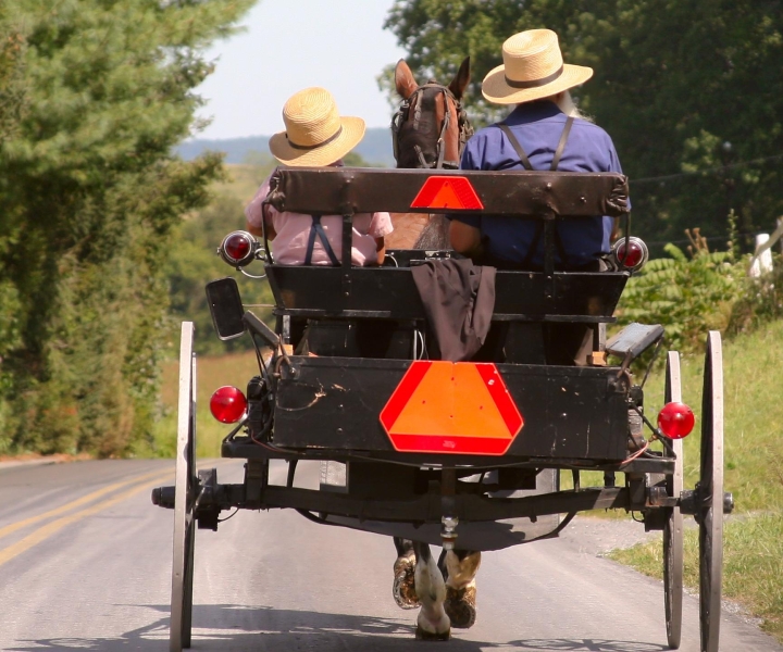 Lancaster County: Amish Farmlands, museumtour, boerderijbezoek