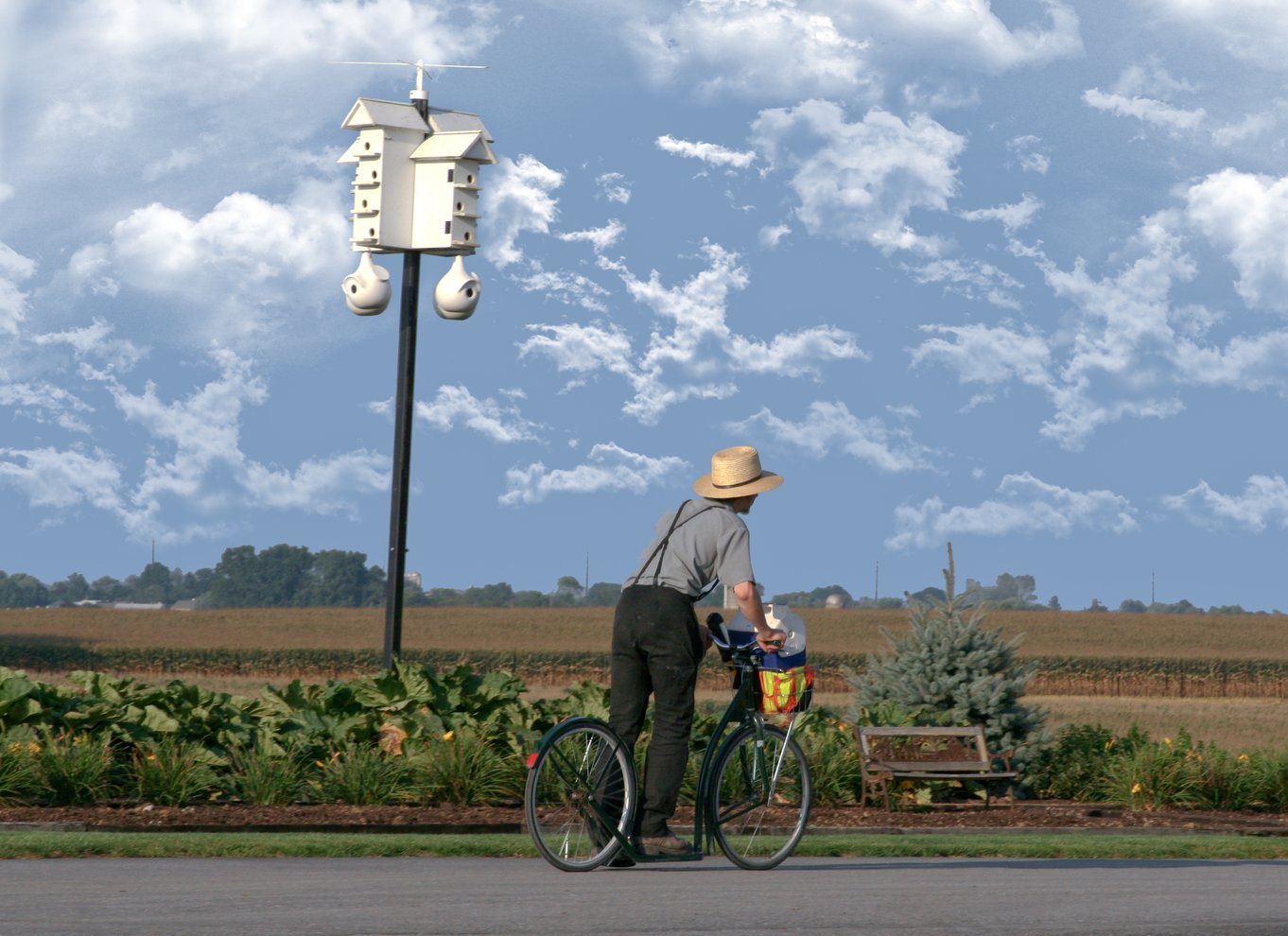 Lancaster County: Amish-landbrug, museumstur, gårdbesøg