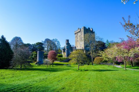 Dublin: dagtour naar Cork, Cobh en Blarney Castle