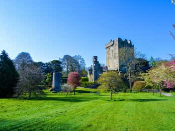 Ab Dublin: Tagestour nach Cork, Cobh und Blarney Castle Ab Dublin: Tagestour nach Cork, Cobh und Blarney Castle