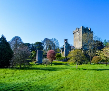 Dublin: Excursão de 1 dia a Cork, Cobh e Castelo de Blarney