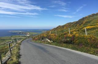 Ab Dublin: Tagestour durch Connemara und Galway Bay