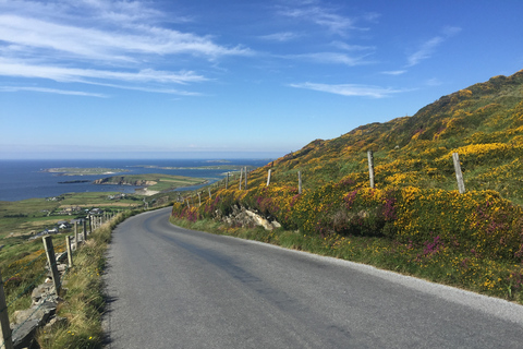 From Dublin: Connemara and Galway Bay Day Tour Standard Option