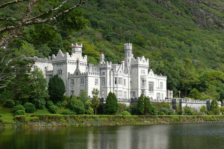 Desde Dublín: tour de un día a Connemara y la bahía de GalwayOpción estándar