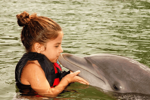 Cancún: Encuentro con delfines