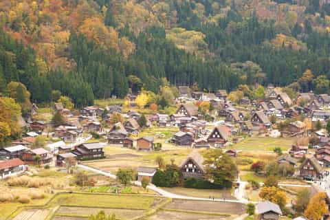 nagoya unesco tour to shiragawago takayama