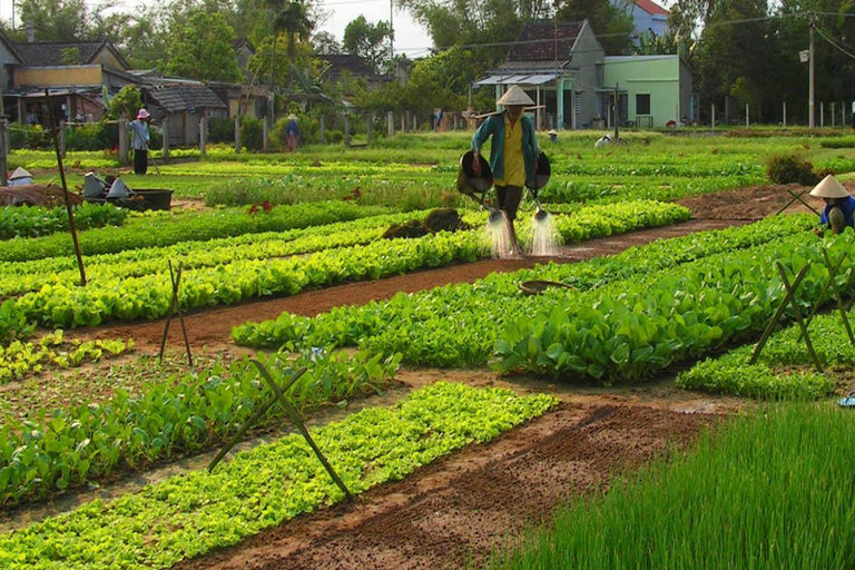 Hoi An: Exploring Hoi An City By Private Car