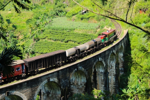 De Colombo: visite guidée de 8 jours du Sri Lanka avec transport