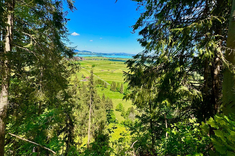 Visite privée du château de Neuschwanstein au départ de MunichVisite privée du château de Neuschwanstein