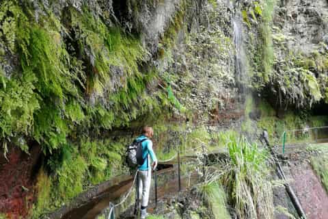 Hiking in Madeira: Levada do Rei