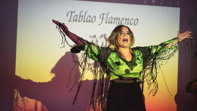 malaga picasso flamenco show