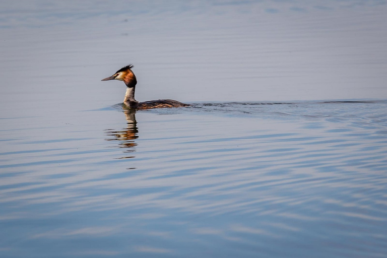 Danube Delta - 2-Day Tour from Bucharest 2-Day Tour