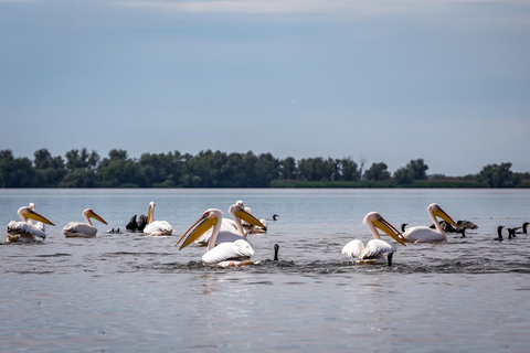 Donau Delta - 2-dagars tur från Bukarest2-dagars rundtur