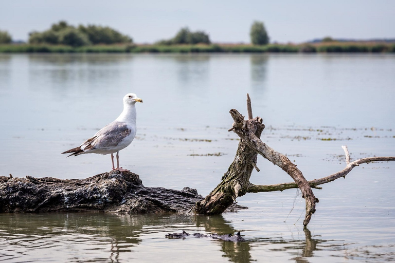 Delta del Danubio: tour di 2 giorni da Bucarest