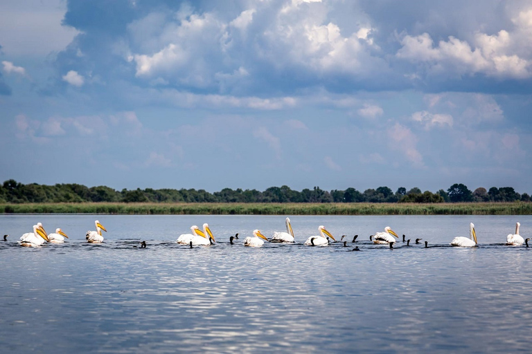 Delta del Danubio: tour di 2 giorni da Bucarest