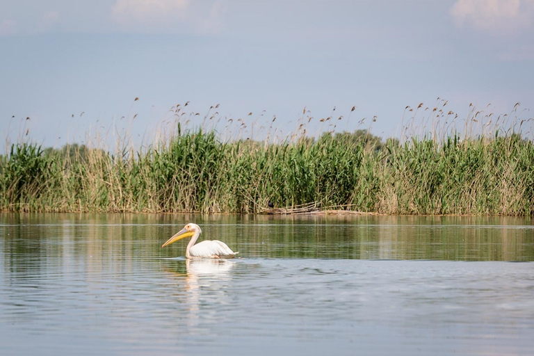 Danube Delta - 2-Day Tour from Bucharest2-Day Tour