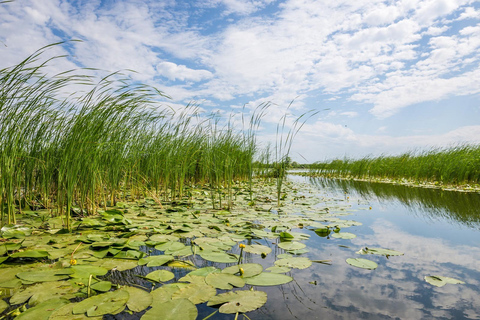 Delta do Danúbio - excursão de 2 dias saindo de BucaresteExcursão de 2 dias