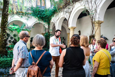 Cordoba: tour dei patii e del palazzo di Viana