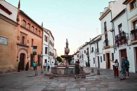 Córdoba: Petit groupe 2-Hour Walking Tour à NightfallTour en espagnol