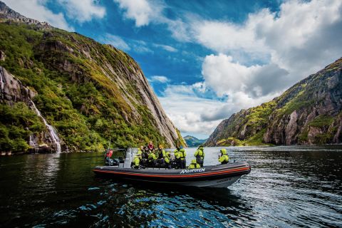 Vanuit Svolvaer: zeearendsafari naar de Trollfjorden