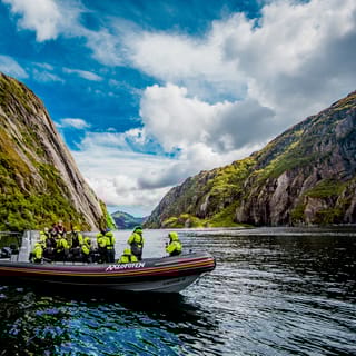 Ab Svolvær: Seeadler-Safari zum Trollfjord
