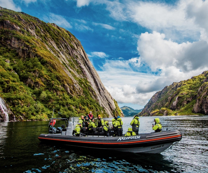 Trollfjord: safari delle aquile di mare da Svolvær