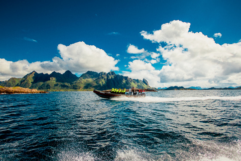 From Svolvaer: Sea Eagle Safari to Trollfjord